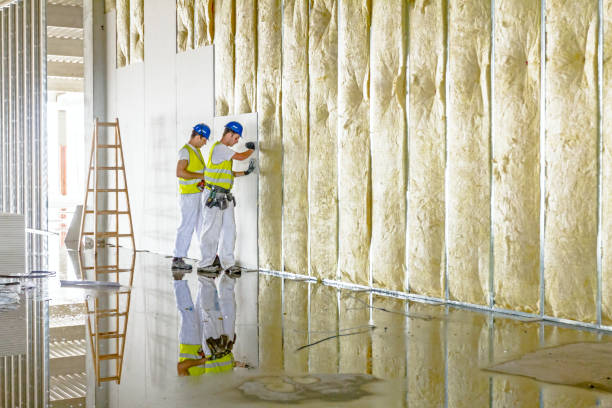 Best Commercial Insulation in Valdese, NC